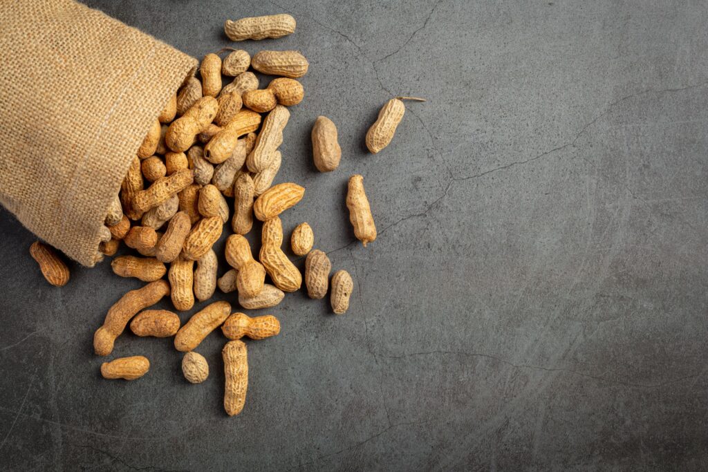 peanut Export